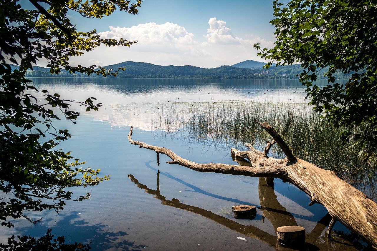 Ežeras, Mediena, Laacherio Ežeras, Maria Laach, Žurnalas, Vanduo, Vandenys, Medis, Mediena Vandenyje, Skilimas