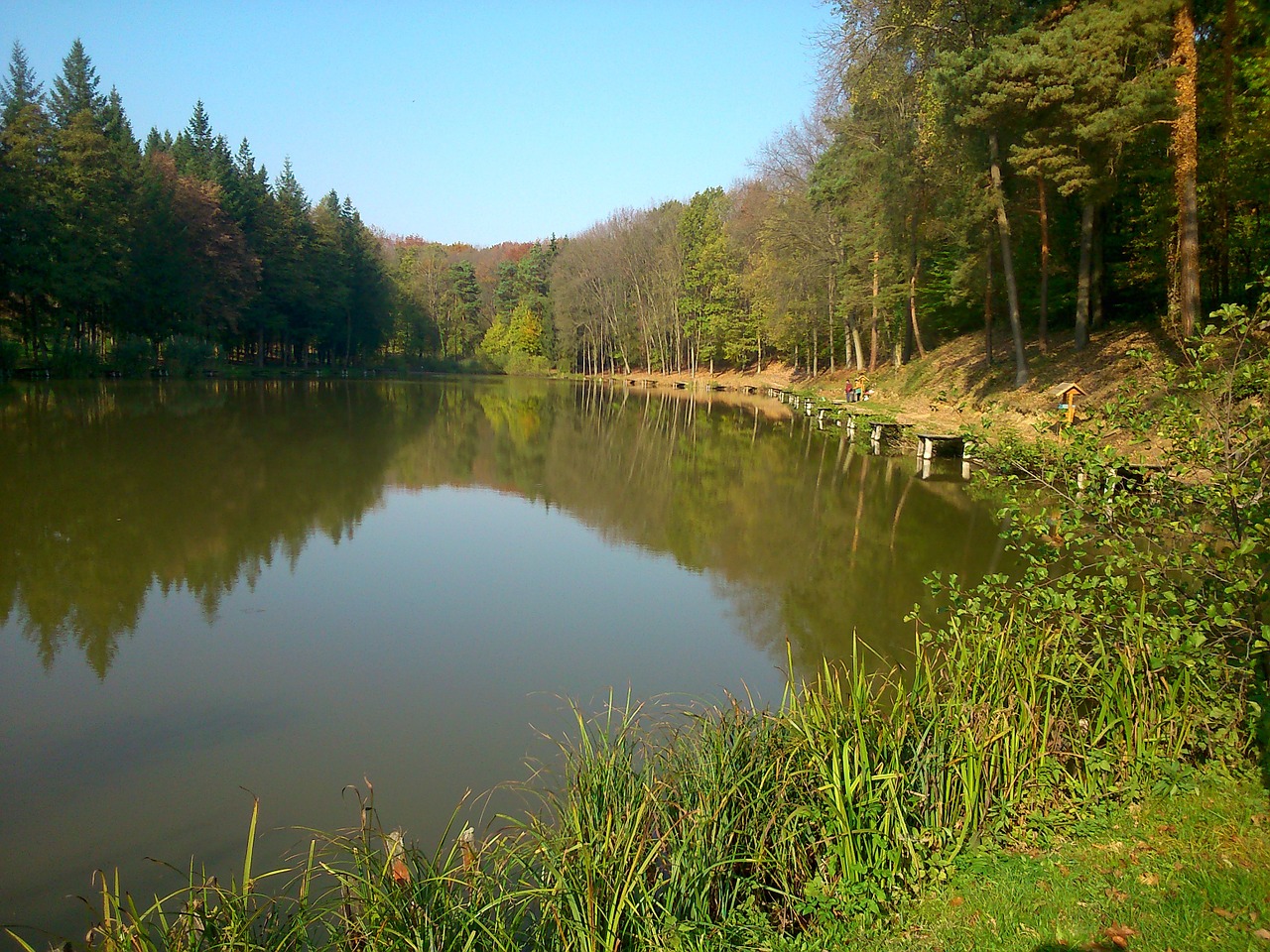 Ežeras, Gamta, Vanduo, Parkas, Miškas, Vaikščioti, Vandens Atspindys, Vasara, Pavasaris, Žalias