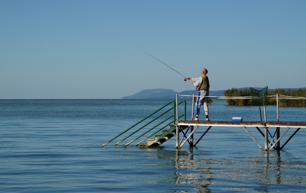 Ežeras, Balaton, Žvejys, Žuvis, Žvejyba, Mesti, Senas Vyras, Nemokamos Nuotraukos,  Nemokama Licenzija