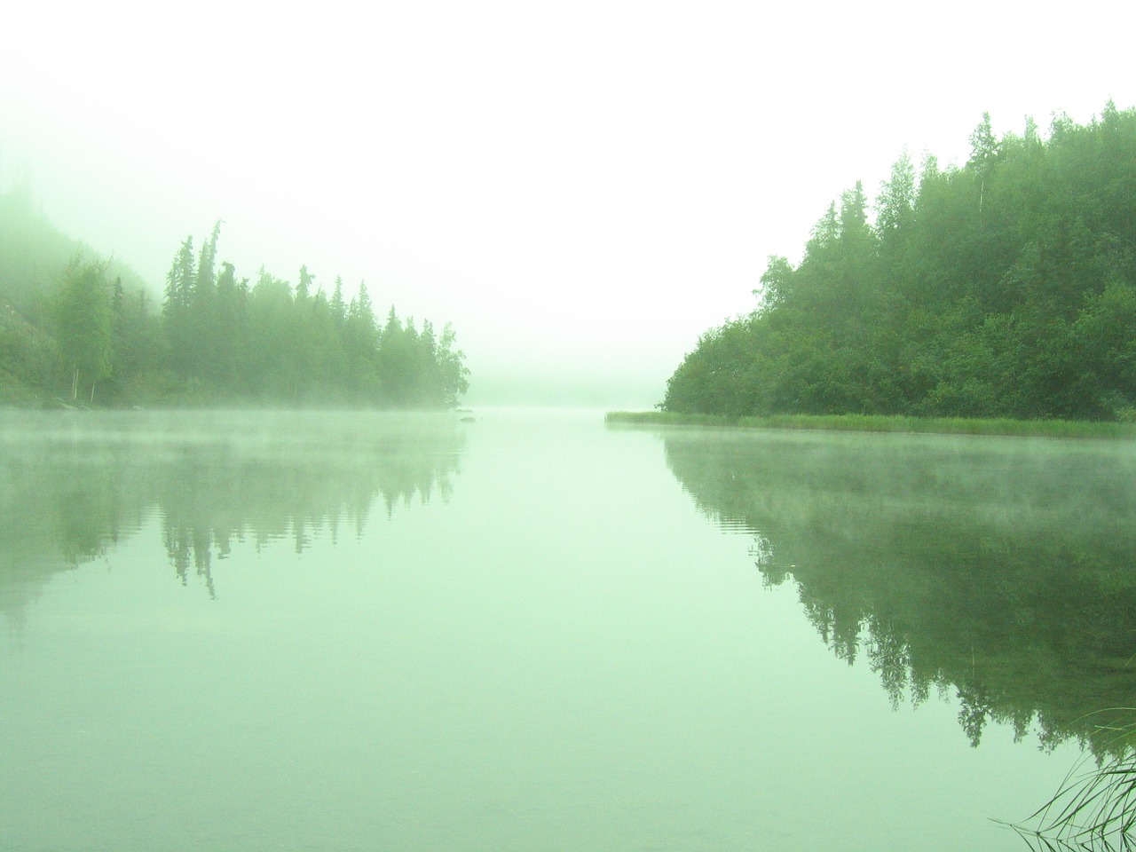 Ežeras, Žalias, Kraštovaizdis, Miškas, Alaska, Nemokamos Nuotraukos,  Nemokama Licenzija