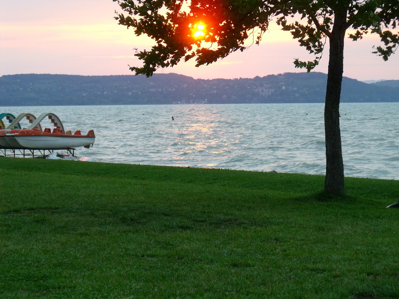 Balaton Ežeras, Vasara, Vanduo, Vengrija, Nemokamos Nuotraukos,  Nemokama Licenzija