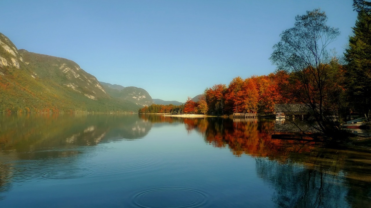 Bohinj Ežeras, Slovenia, Kraštovaizdis, Vaizdingas, Kritimas, Ruduo, Lapija, Spalvos, Vanduo, Apmąstymai