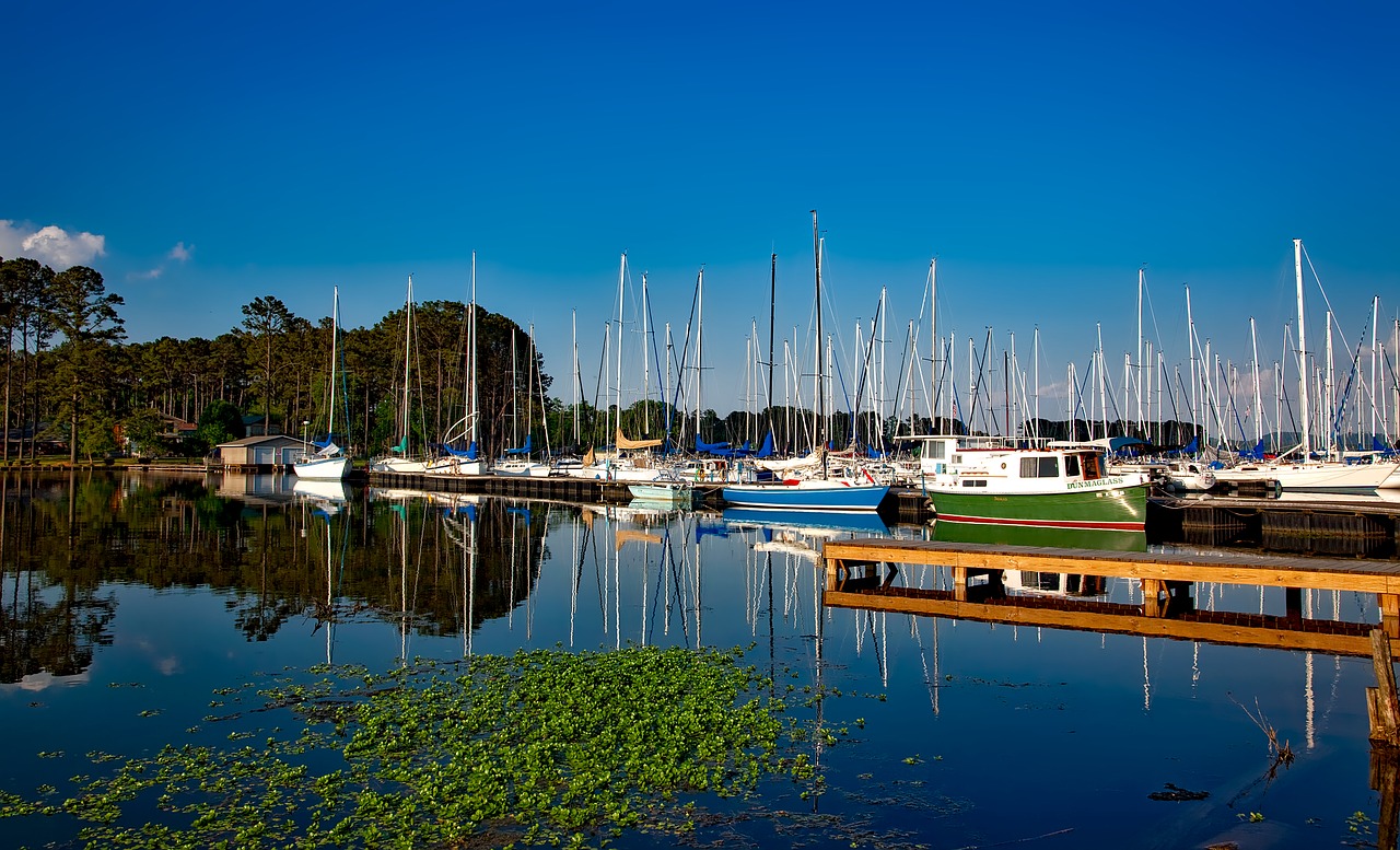 Ežeras Guntersville, Alabama, Marina, Valtys, Burlaiviai, Prieplauka, Vanduo, Apmąstymai, Hdr, Gamta