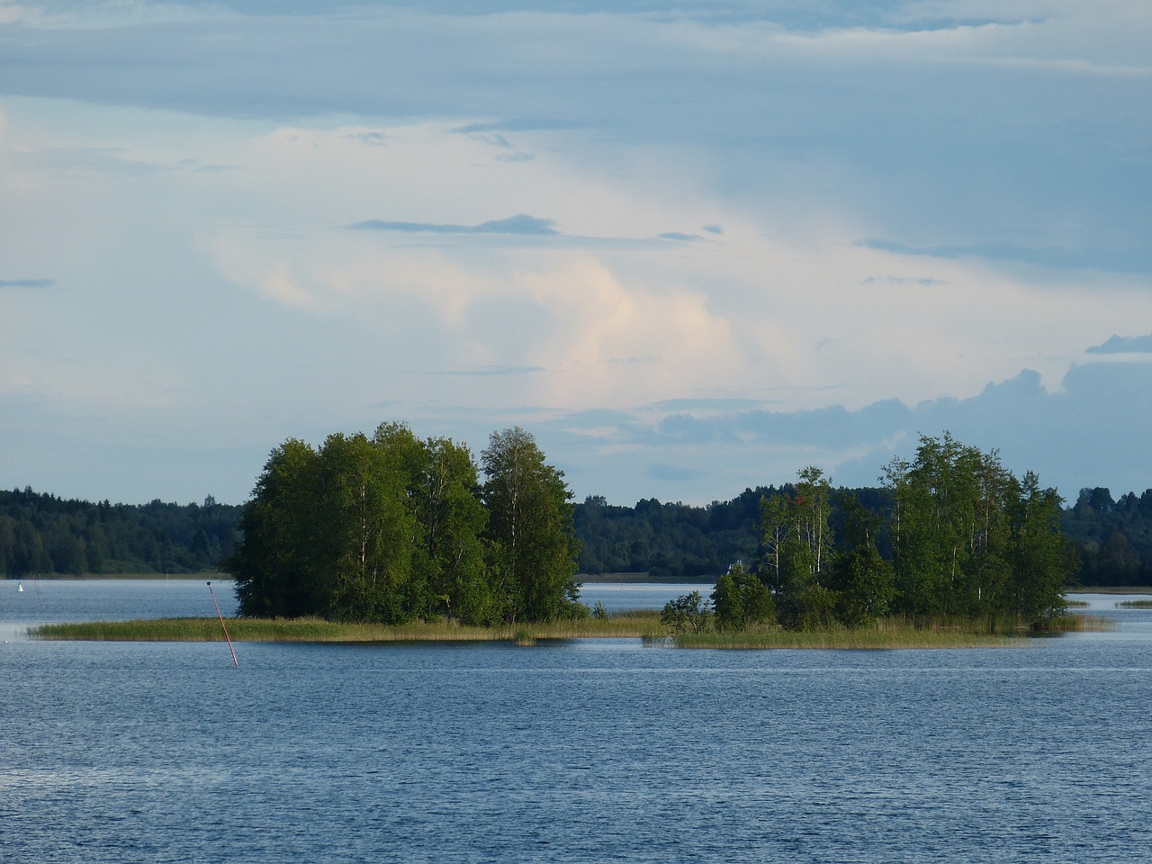 Ežeras Ladoga, Rusija, Kraštovaizdis, Gamta, Sala, Miškas, Spygliuočių, Medis, Vanduo, Šventė