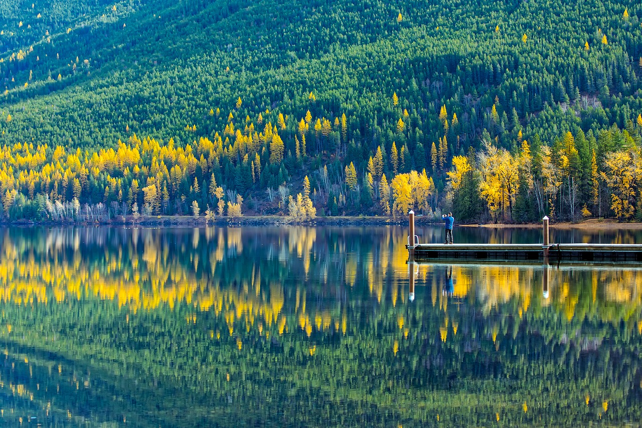 Ežeras Mcdonald, Ledynas Nacionalinis Parkas, Montana, Kraštovaizdis, Miškas, Medžiai, Miškai, Gamta, Lauke, Lauke