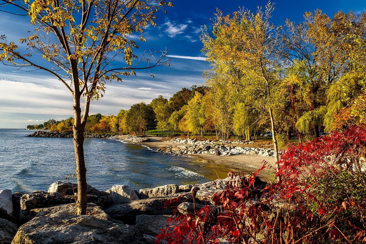 Ontario Ežeras, Kanada, Hdr, Kritimas, Ruduo, Lapija, Krantas, Kranto Linija, Kraštovaizdis, Vaizdingas