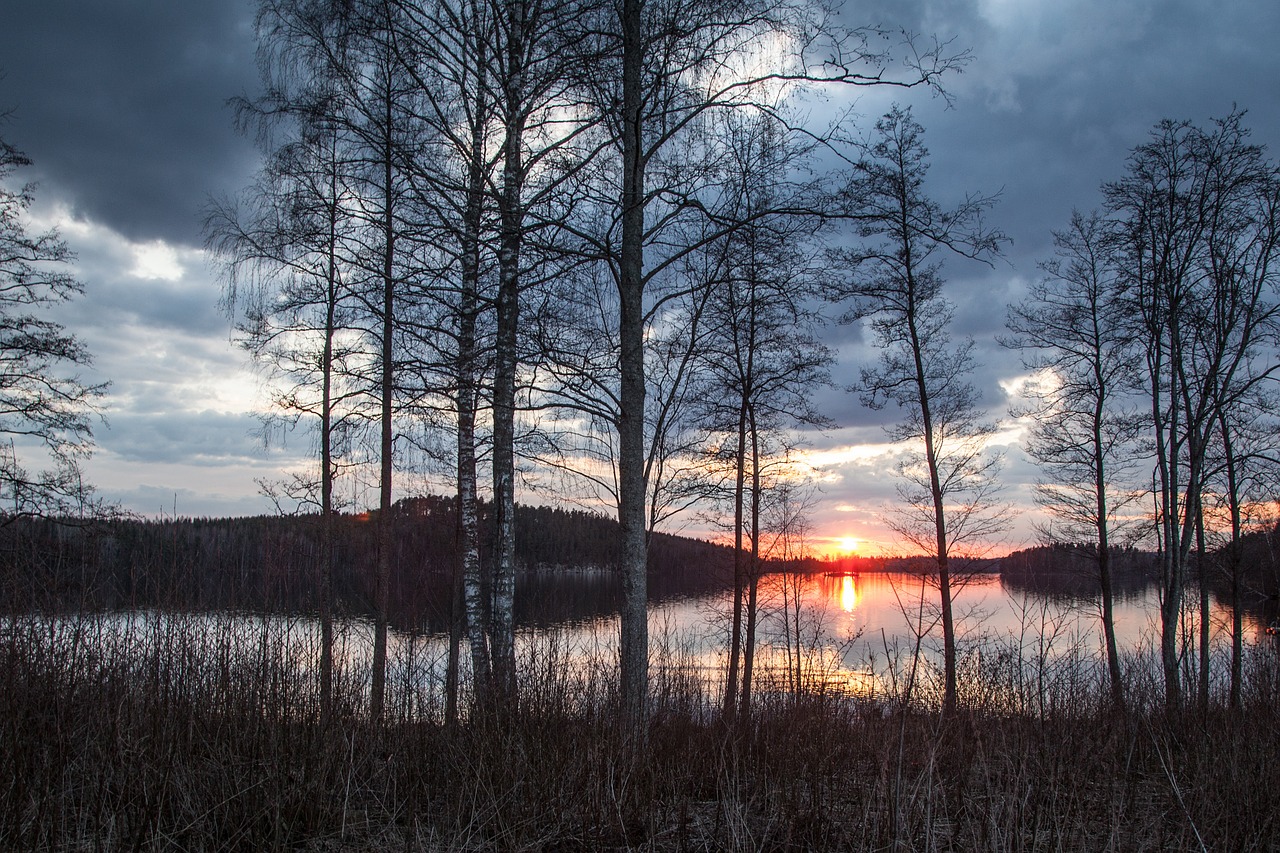 Ežero Peizažai, Finland, Pavasaris, Vakaras, Ežeras, Kraštovaizdis, Peizažas, Miškas, Vanduo, Gamta