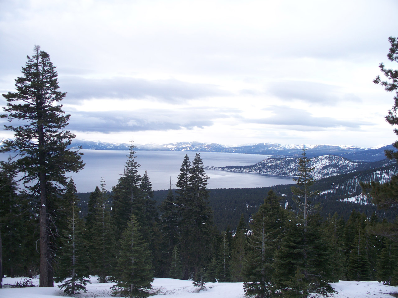 Sniegas,  Ežeras,  Tahoe,  Medžiai,  Ežeras Tahoe, Nemokamos Nuotraukos,  Nemokama Licenzija