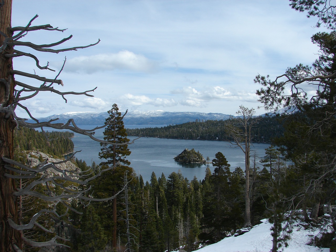 Ežeras Tahoe, Tahoe, Ežeras, Vanduo, Mėlynas, Medžiai, Dangus, Kalnas, Kalifornija, Pušis