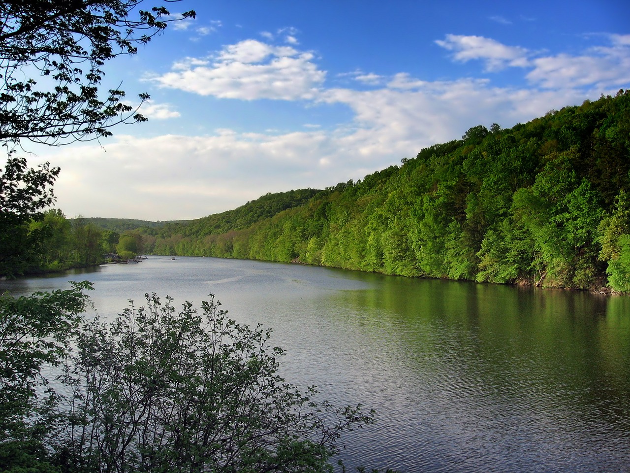 Ežero Zoologijos Sodas, Connecticut, Kraštovaizdis, Vaizdingas, Miškas, Medžiai, Apmąstymai, Vanduo, Kranto Linija, Dangus