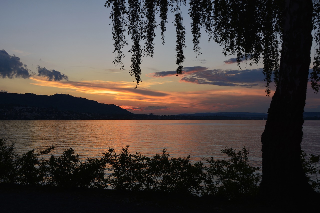 Saulėlydis, Vakaro Saulė, Ežeras, Ežeras Ciurichas, Vanduo, Abendstimmung, Atmosfera, Medžiai, Nemokamos Nuotraukos,  Nemokama Licenzija