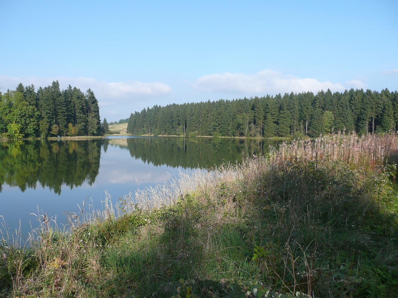 Ežerai, Jūros Dugnas, Derva, Tvenkiniai, Gamta, Kraštovaizdis, Viršutinė Harzo Vandens Lentyna, Šventė, Atsigavimas, Miškas