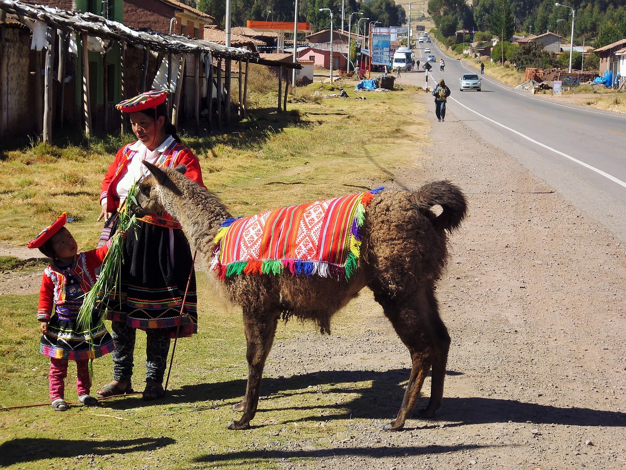 Lama, Peru, Inca, Alpaka, Šventasis Slėnis, Gamta, Vilnos, Žemdirbystė, Gyvuliai, Žinduoliai