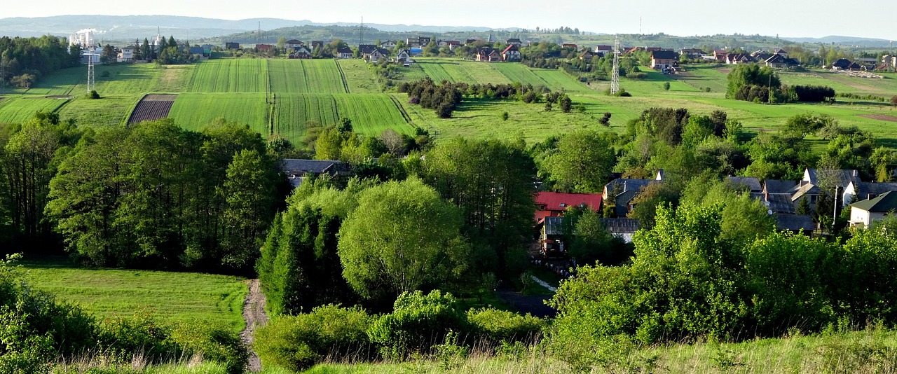 Kraštovaizdis, Lenkija, Medis, Gamta, Pavasaris, Žalias, Nemokamos Nuotraukos,  Nemokama Licenzija