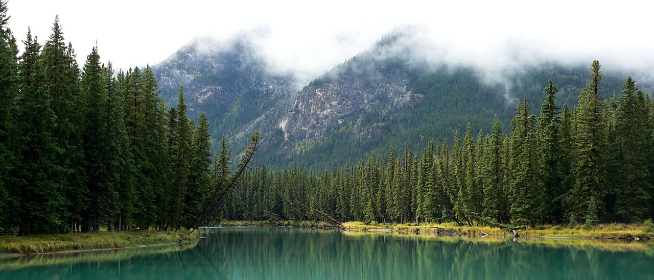 Kraštovaizdis, Lankas Upė, Alberta, Kanada, Banff, Kalnai, Vaizdingas, Gamta, Miškas, Peizažas