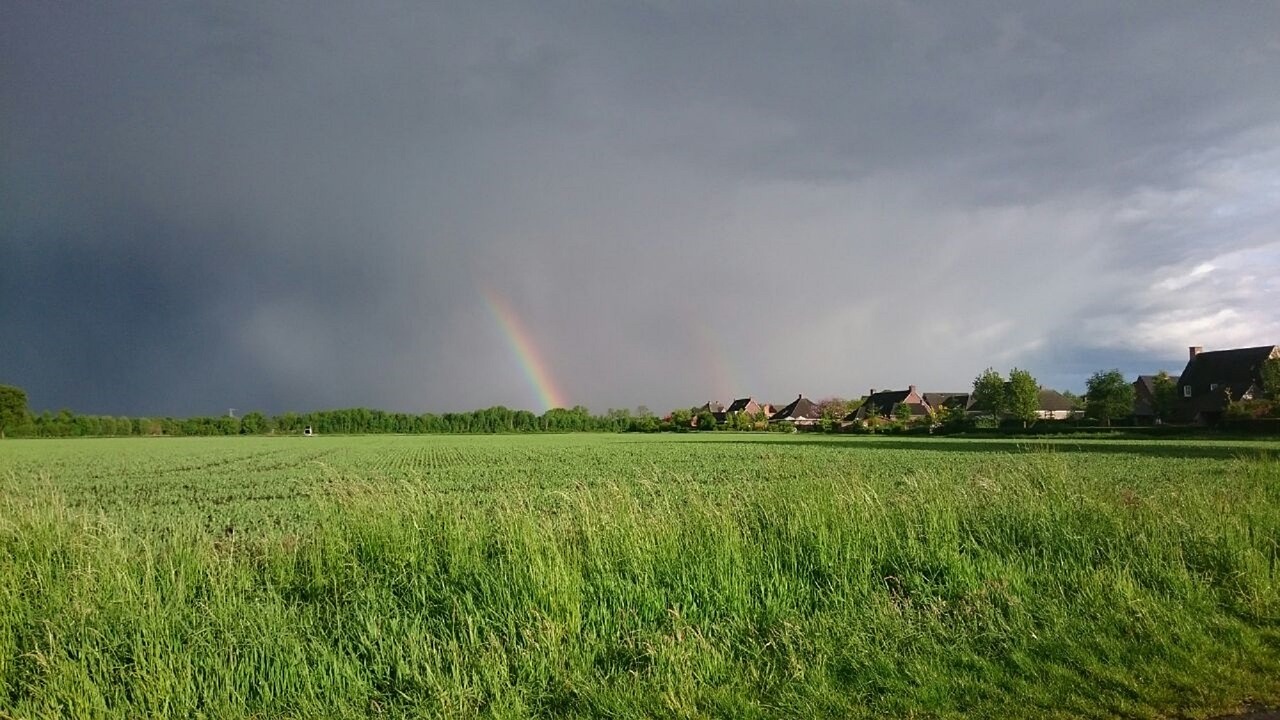 Kraštovaizdis, Vaivorykštė, Vaizdas, Gamta, Grasinantis Dangus, Oras, Žalias, Vasara, Ūkis, Ganykla