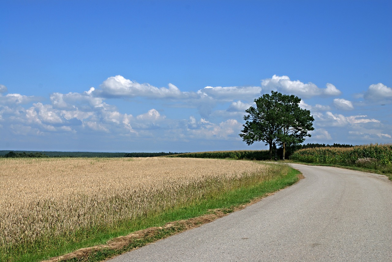 Kraštovaizdis, Pietų Bohēma, Laukas, Vasara, Dangus, Mėlynas, Debesys, Nemokamos Nuotraukos,  Nemokama Licenzija