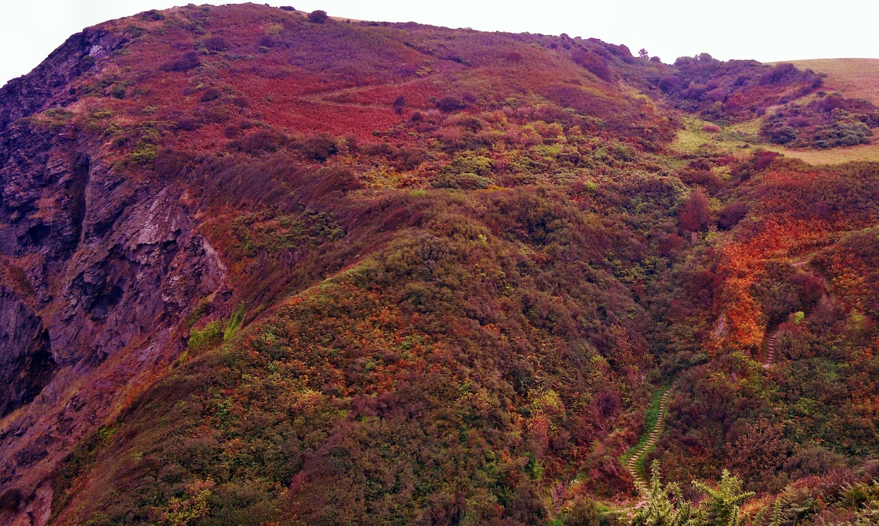 Kraštovaizdis, Virėja, Violetinė, Vaizdingas, Gamta, Natūralus, Panorama, Lauke, Scena, Kelionė