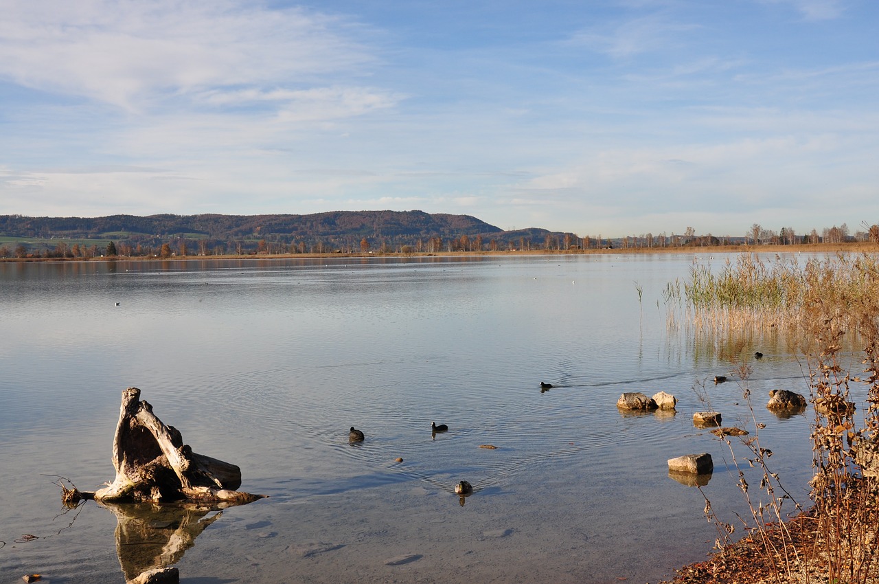 Kochelsee, Kraštovaizdis, Panorama, Nemokamos Nuotraukos,  Nemokama Licenzija