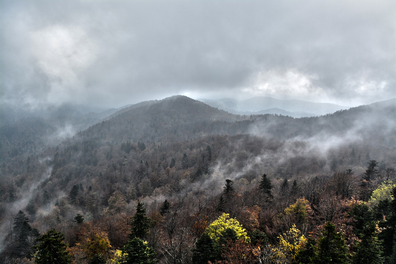 Kraštovaizdis, Rūkas, Gamta, Miškas, Miško Peizažas, Aplinka, Gamtos Kraštovaizdis, Rūkas, Debesys, Dangus