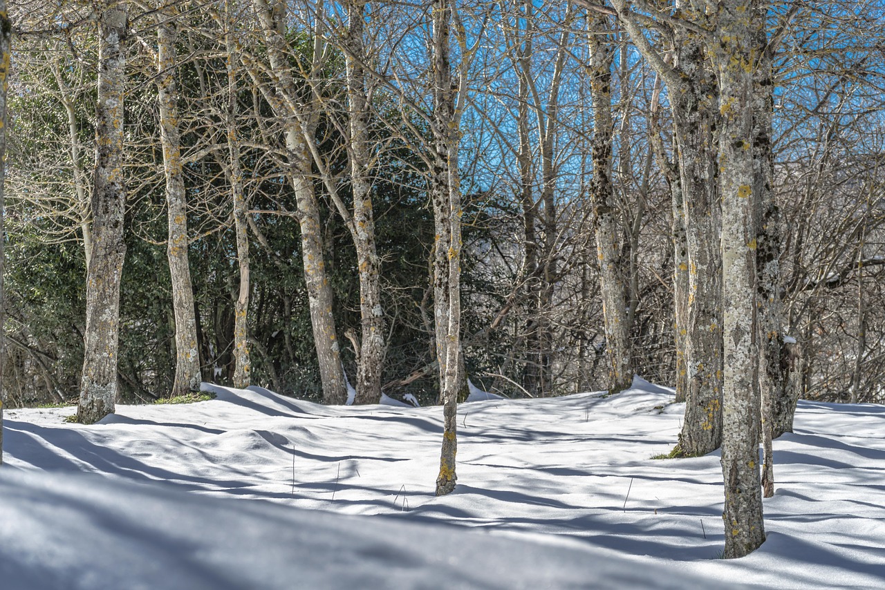 Kraštovaizdis, Nevado, Sniegas, Snieguotas Kraštovaizdis, Žiema, Gamta, Nevada, Kalnas, Balta, Šaltas