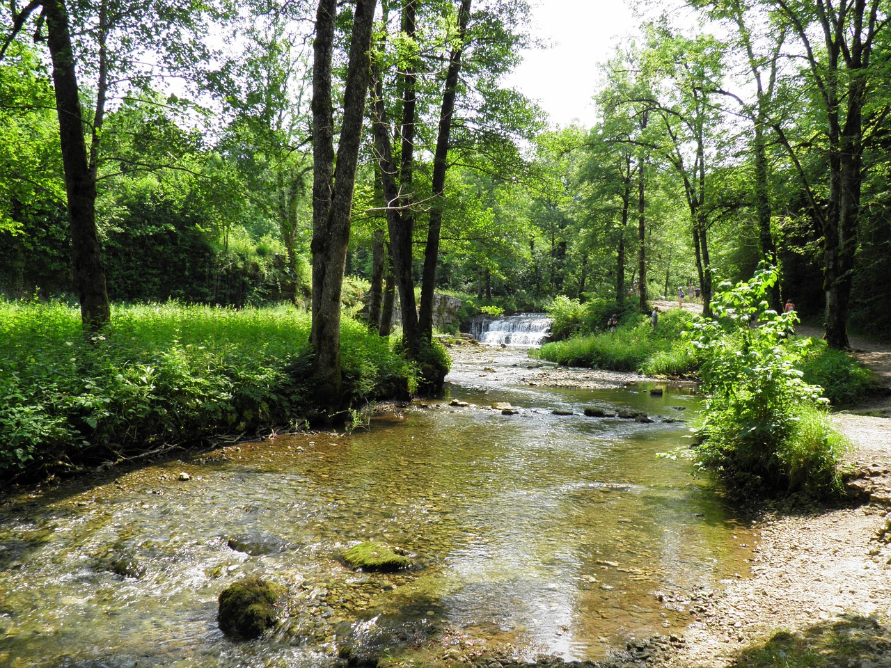 Kraštovaizdis, Gamta, Žalias, Kalnas, Medis, France, Jura, Vasara, Nemokamos Nuotraukos,  Nemokama Licenzija