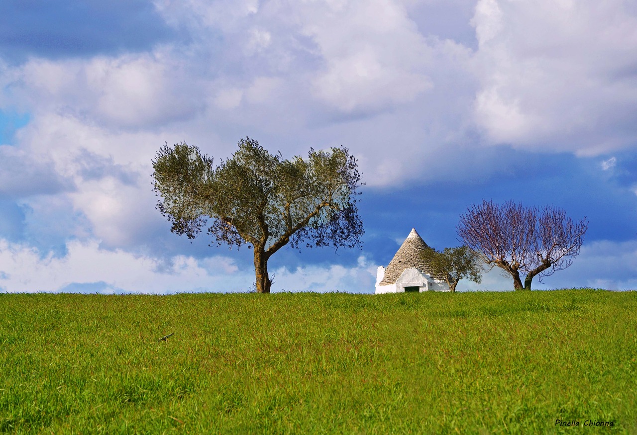 Kraštovaizdis, Puglia, Į Pietus, Nemokamos Nuotraukos,  Nemokama Licenzija