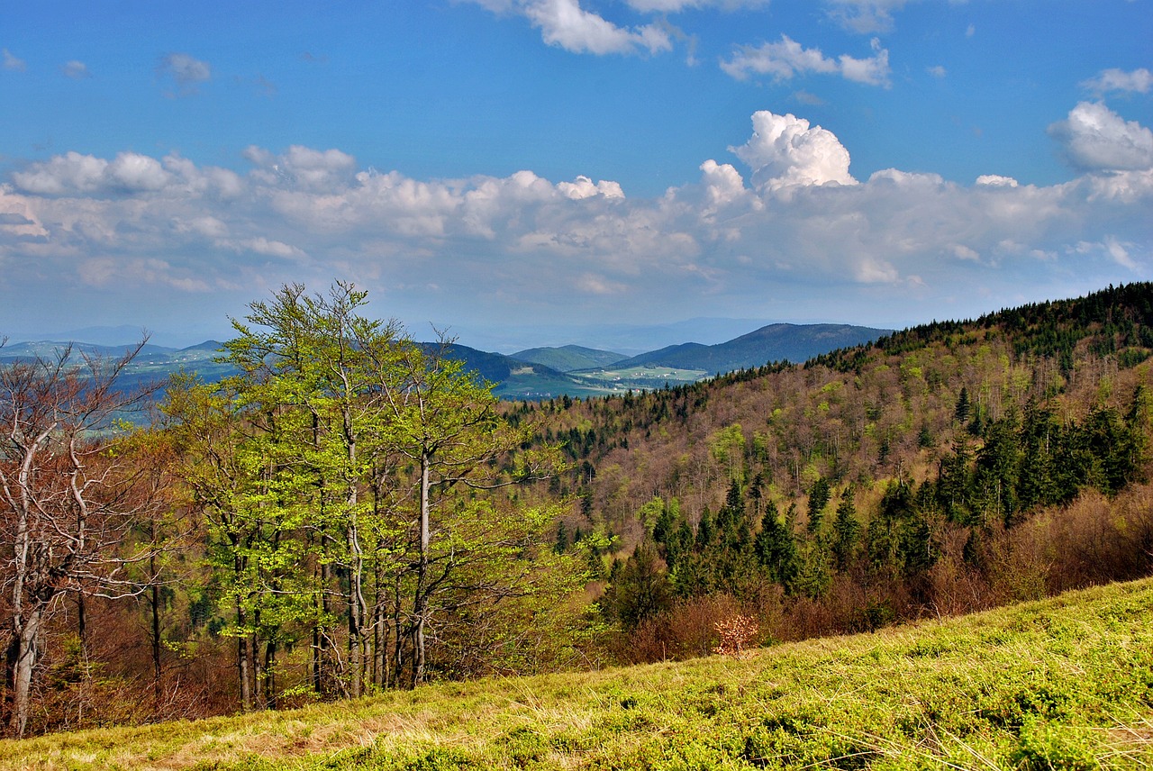 Kraštovaizdis, Beskidai, Kalnai, Vaizdas, Medis, Viršūnės, Mogielica, Nemokamos Nuotraukos,  Nemokama Licenzija