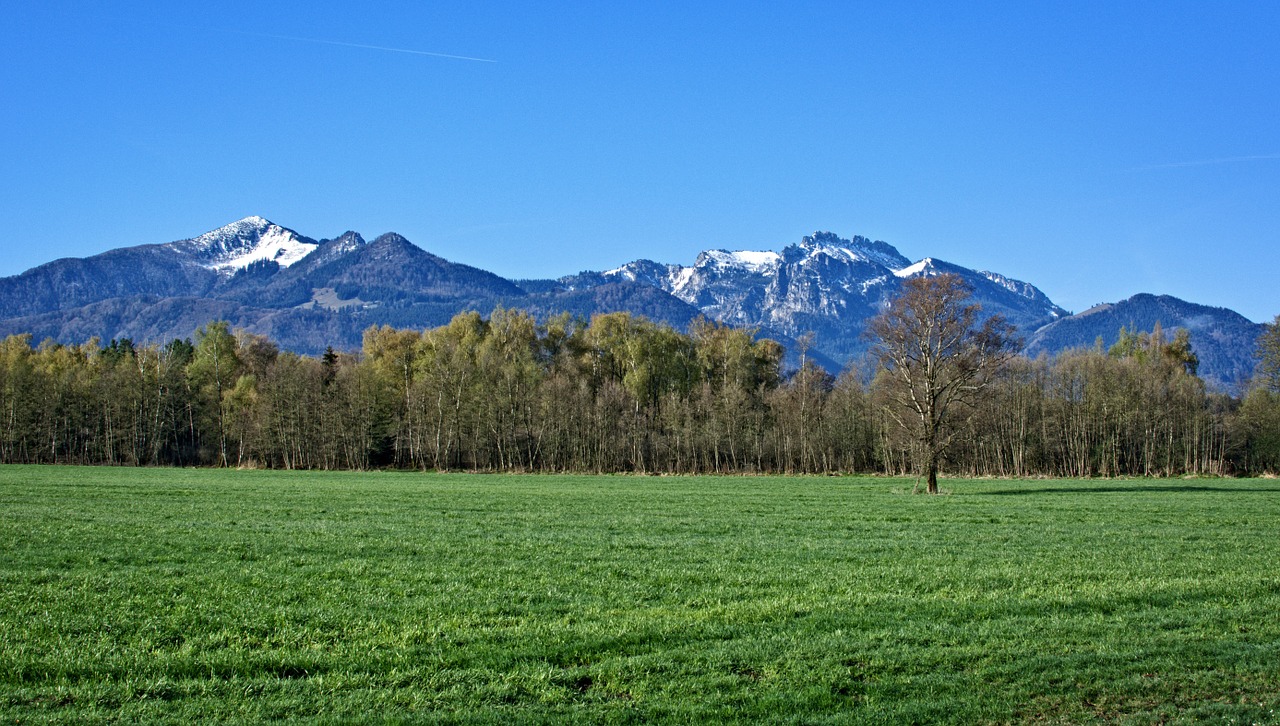 Kraštovaizdis, Bavarija, Chiemgau, Šventė, Atsigavimas, Kalnai, Medžiai, Pieva, Panorama, Pavasaris