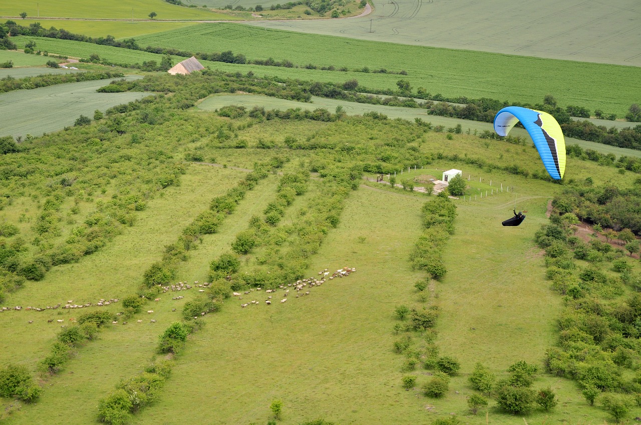 Kraštovaizdis, Žalias, Medžiai, Paragliding, Buriavimas, Aviatorius, Skraidantis, Bandas, Šventė, Pieva