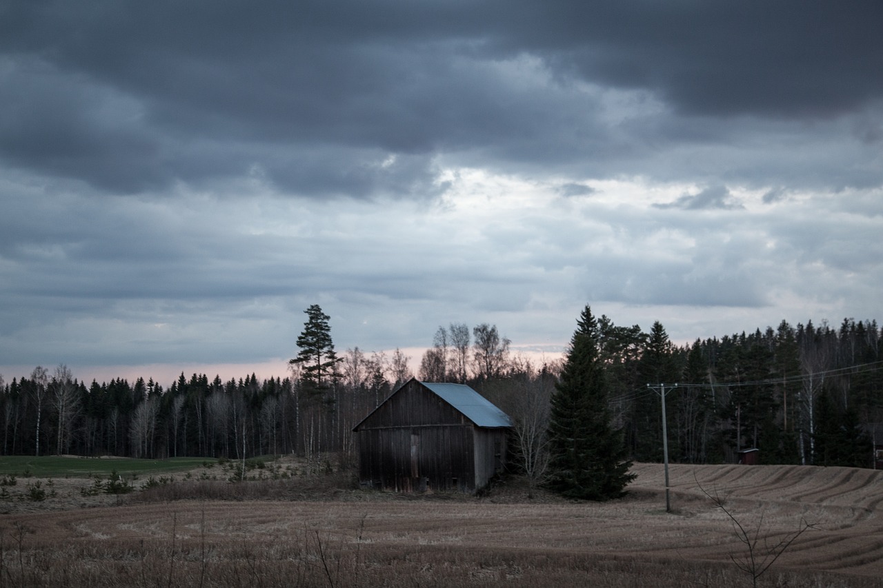 Kraštovaizdis, Finland, Tvartas, Senas, Tamsi, Miškas, Hovel, Mediena, Lauke, Medis