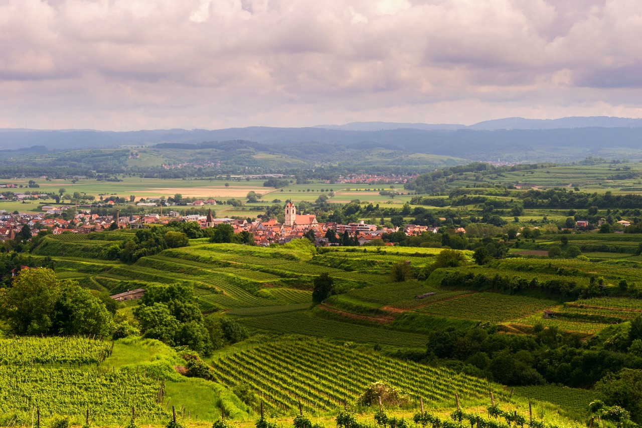 Kraštovaizdis, Vynuogynai, Terasos, Vasara, Kaiserstuhl, Šventė, Žygiai, Panorama, Saulė, Vaizdas