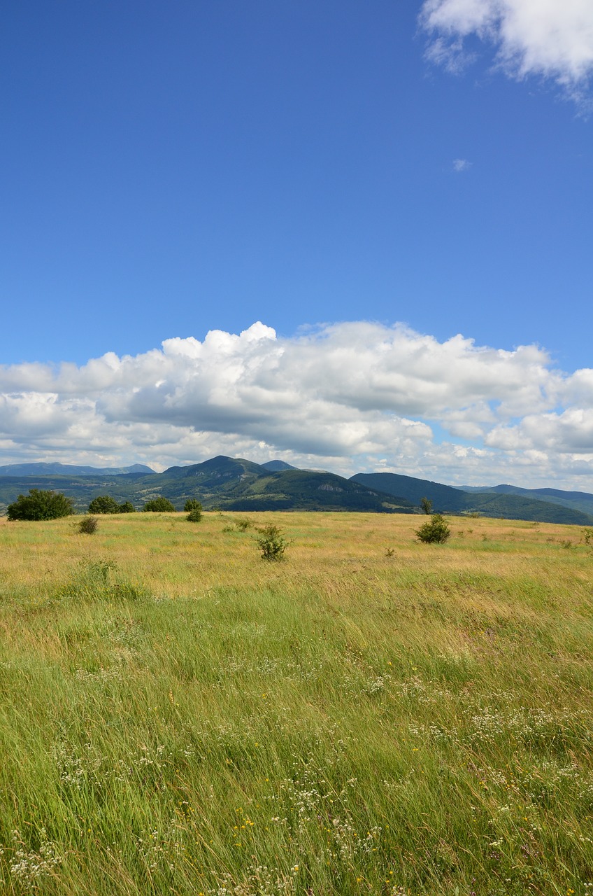 Kraštovaizdis, Žolė, Dangus, Gamta, Vasara, Laukas, Debesis, Lauke, Gražus, Peizažai