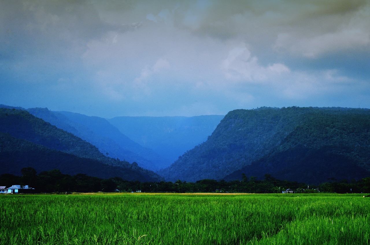 Kraštovaizdis, Sylhet, Gamta, Kalvos, Žalias, Debesis, Dangus, Kelionė, Asija, Bangladešas