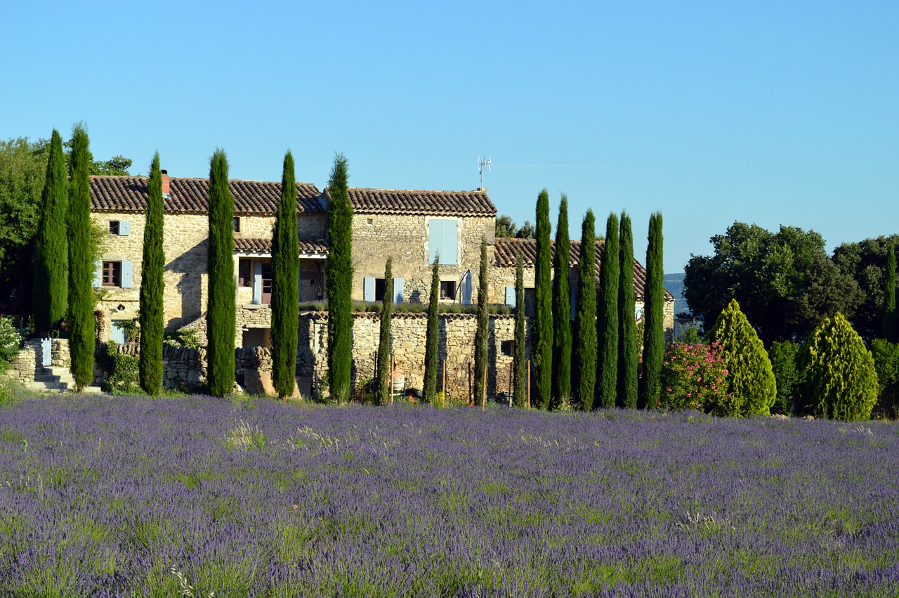 Kraštovaizdis, Provence, Levanda, France, Gamta, Laukai, Drôme, Kvapai, Nemokamos Nuotraukos,  Nemokama Licenzija