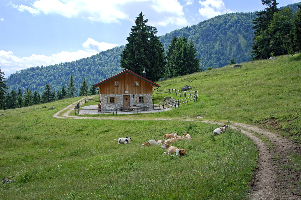 Kraštovaizdis, Gamta, Bavarija, Viršutinė Bavarija, Chiemgau, Kalnai, Alm, Miškas, Laisvalaikis, Atsigavimas