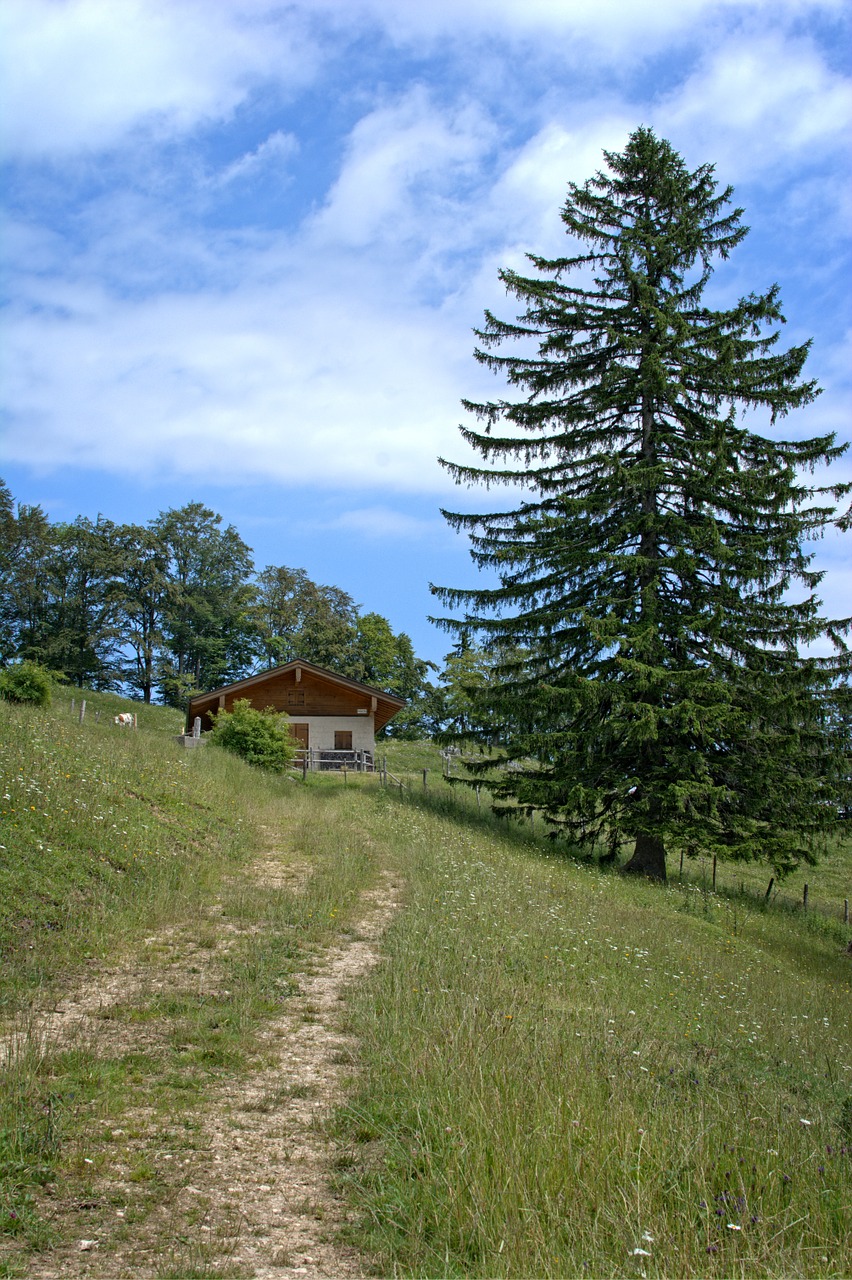 Kraštovaizdis, Gamta, Bavarija, Viršutinė Bavarija, Chiemgau, Alm, Alpių Namelis, Miškas, Laisvalaikis, Atsigavimas