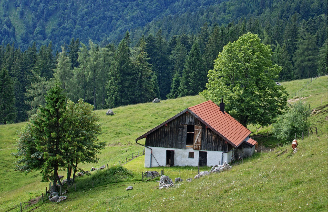 Kraštovaizdis, Gamta, Bavarija, Viršutinė Bavarija, Chiemgau, Alm, Alpių Namelis, Miškas, Laisvalaikis, Atsigavimas