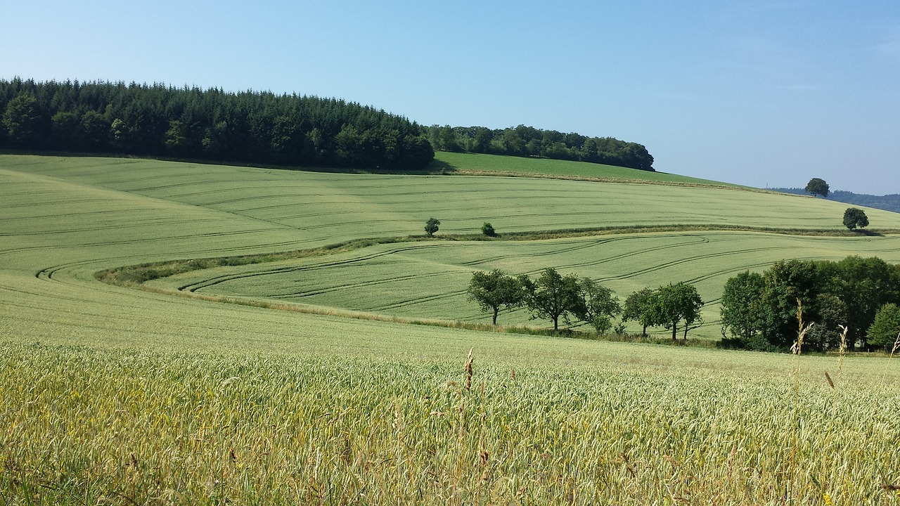 Kraštovaizdis, Laukai, Banguotas, Žalias, Gamta, Nemokamos Nuotraukos,  Nemokama Licenzija