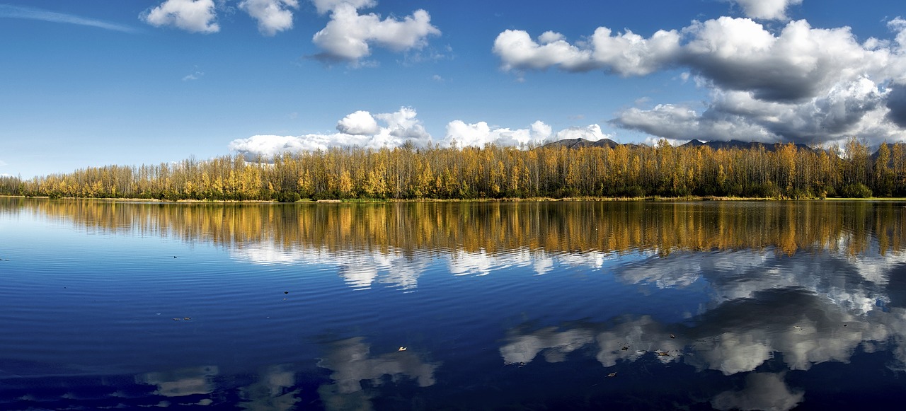 Kraštovaizdis, Vaizdingas, Čeinio Ežeras, Tvirtinimas, Alaska, Usa, Ruduo, Kritimas, Sezonai, Atspindys