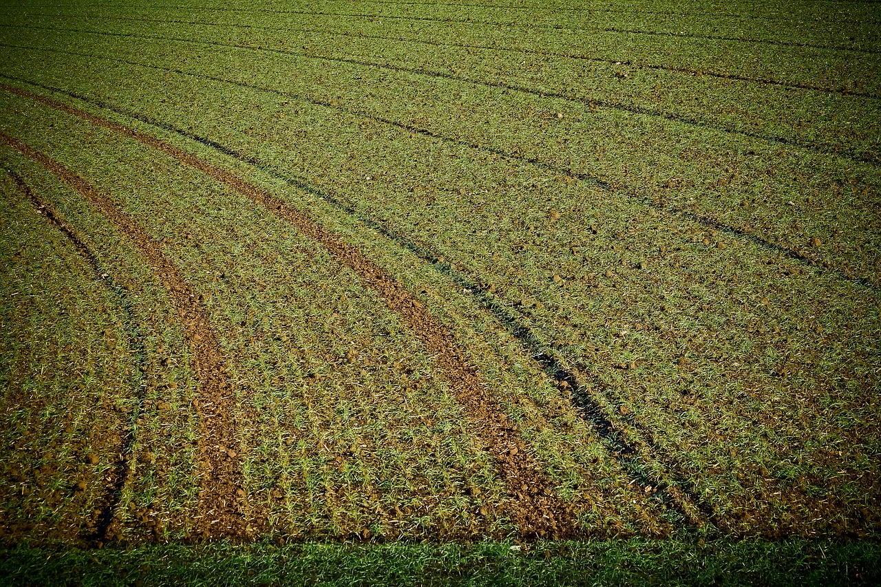 Kraštovaizdis, Laukas, Gamta, Ariamasis, Žemdirbystė, Žemė, Dirvožemis, Kiauras, Ackerfurchen, Simetrija