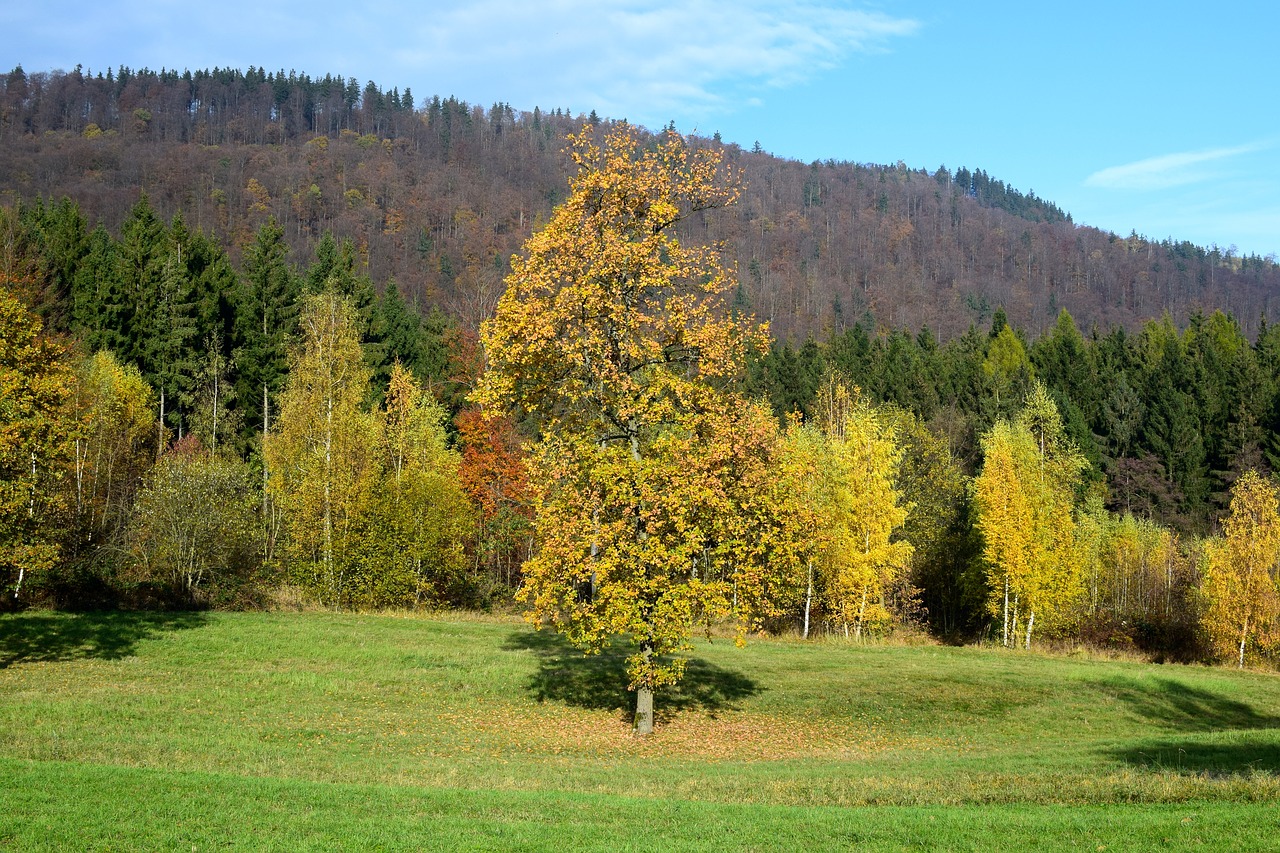 Kraštovaizdis, Ruduo, Medis, Kalnai, Panorama, Gamta, Nuotaika, Vokietija, Saulė, Nemokamos Nuotraukos