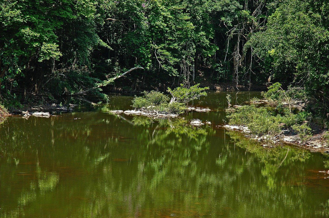 Kraštovaizdis, Upės Kraštovaizdis, Khao Yai, Tailandas, Nemokamos Nuotraukos,  Nemokama Licenzija