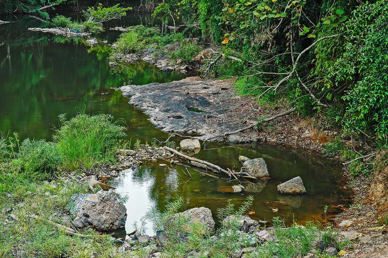 Kraštovaizdis, Upės Kraštovaizdis, Khao Yai, Tailandas, Nemokamos Nuotraukos,  Nemokama Licenzija