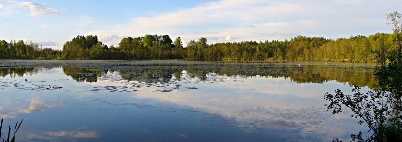 Kraštovaizdis, Vaizdingas, Atspindys, Ežeras, Lauke, Medžiai, Gamta, Panorama, Debesys, Taikus