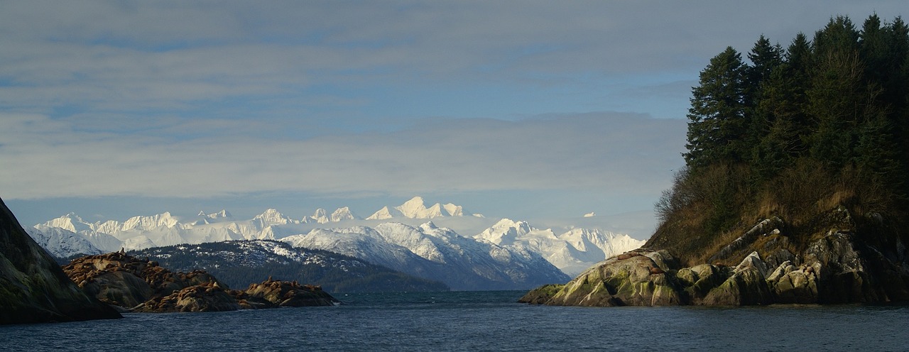 Kraštovaizdis, Vaizdingas, Gamta, Vanduo, Vandenynas, Juros Liutai, Marmuro Salos, Fairweather Kalnai, Ledynų Įlankos Nacionalinis Parkas, Alaska