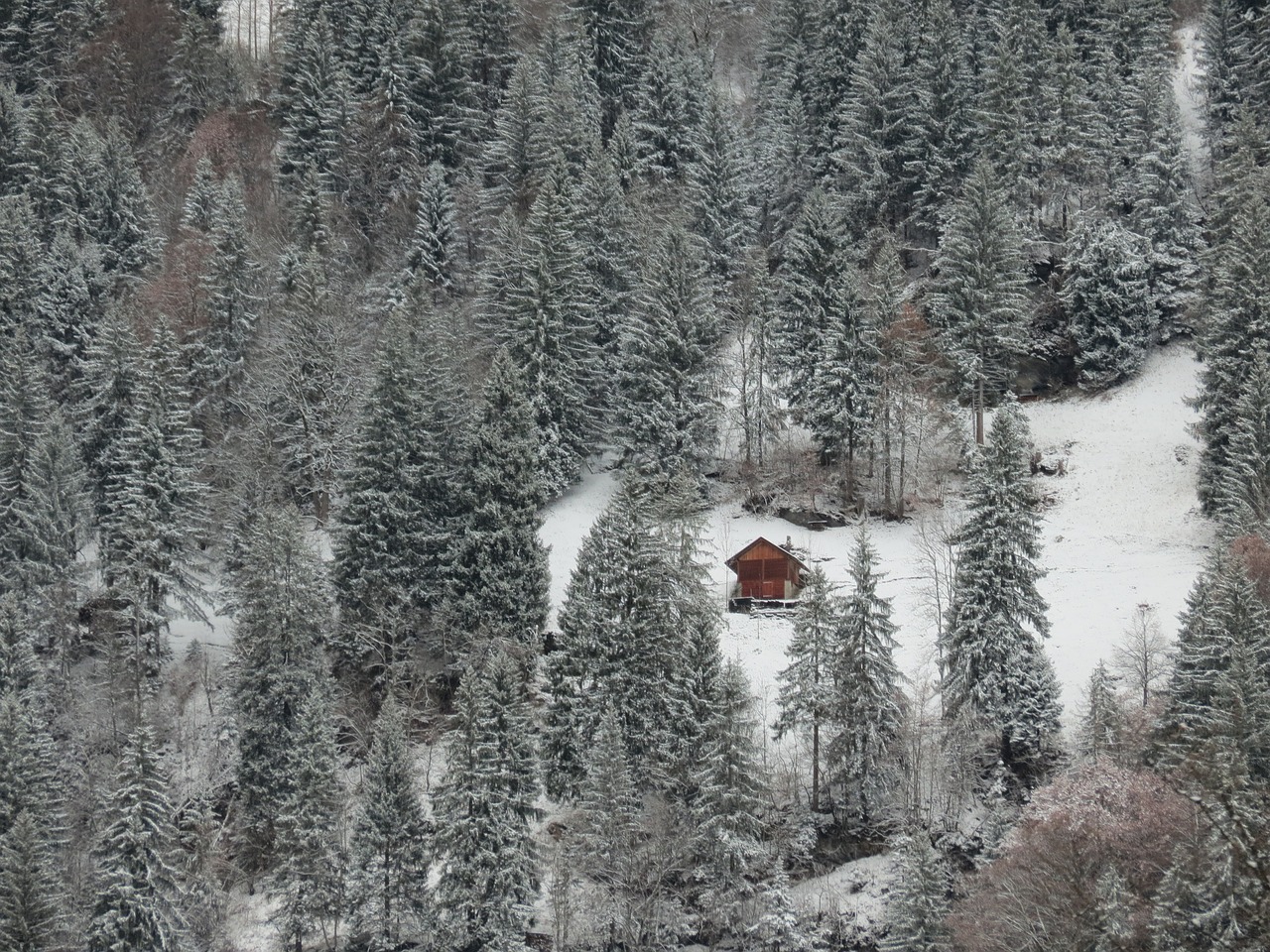 Kraštovaizdis, Kalnas, Šveicarija, Gamta, Sniegas, Panorama, Medžiai, Vista, Žiema, Nemokamos Nuotraukos