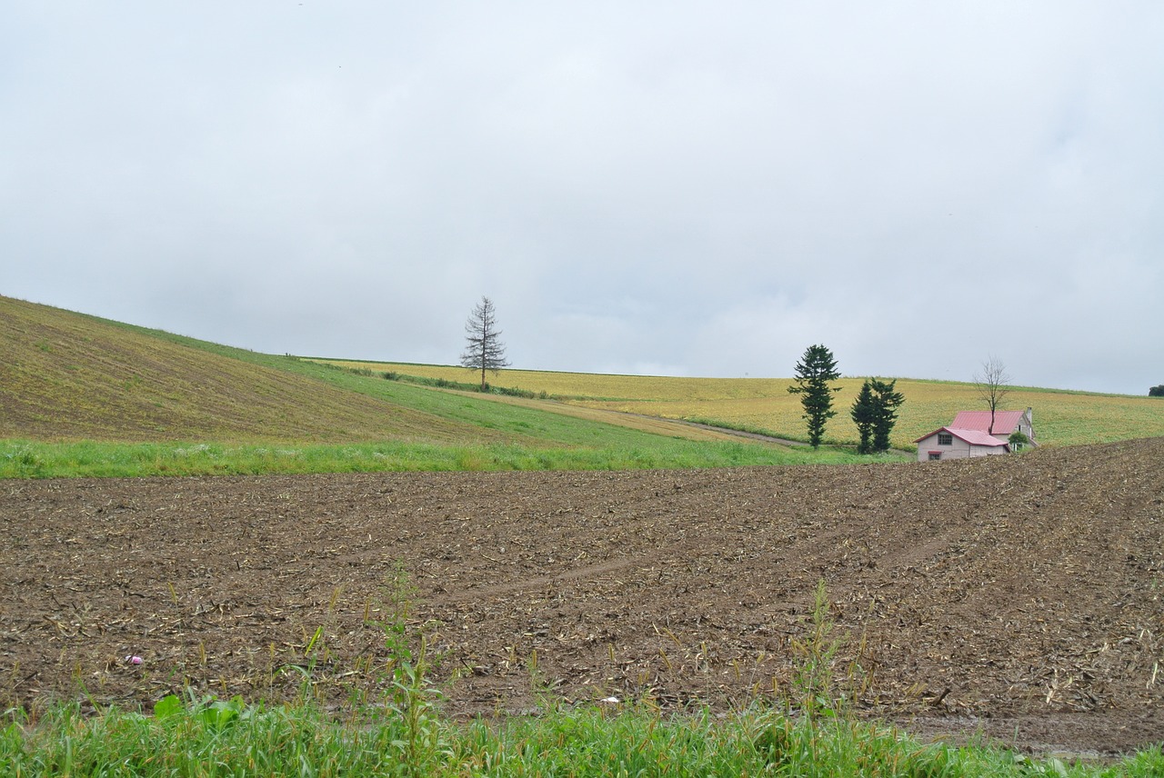 Kraštovaizdis, Natūralus, Hokaidas, Žemė, Lauke, Nemokamos Nuotraukos,  Nemokama Licenzija