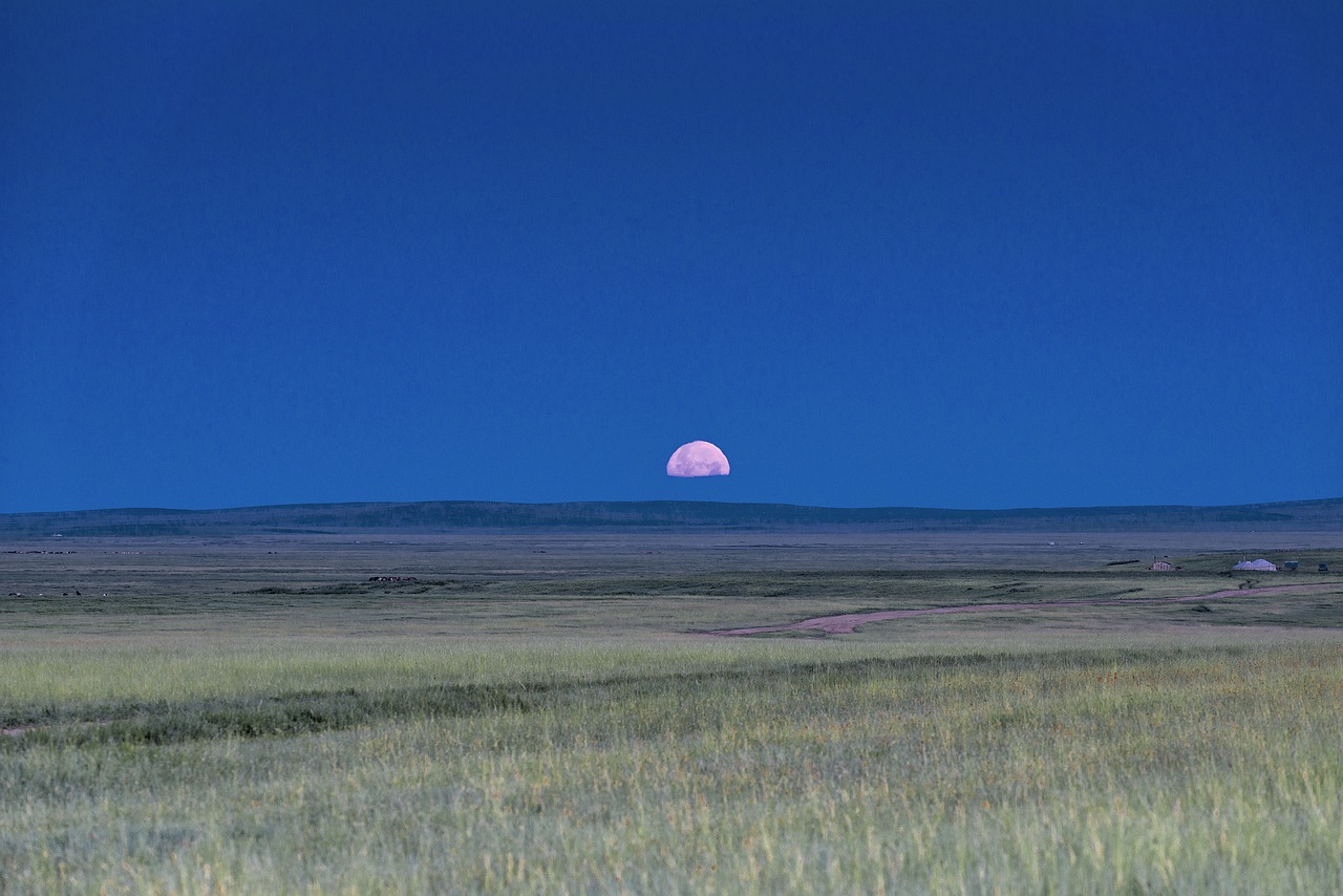 Kraštovaizdis, Mongolija, Lygumos, Horizontas, Kovo Mėnesį, Pieva, Pao, Nemokamos Nuotraukos,  Nemokama Licenzija