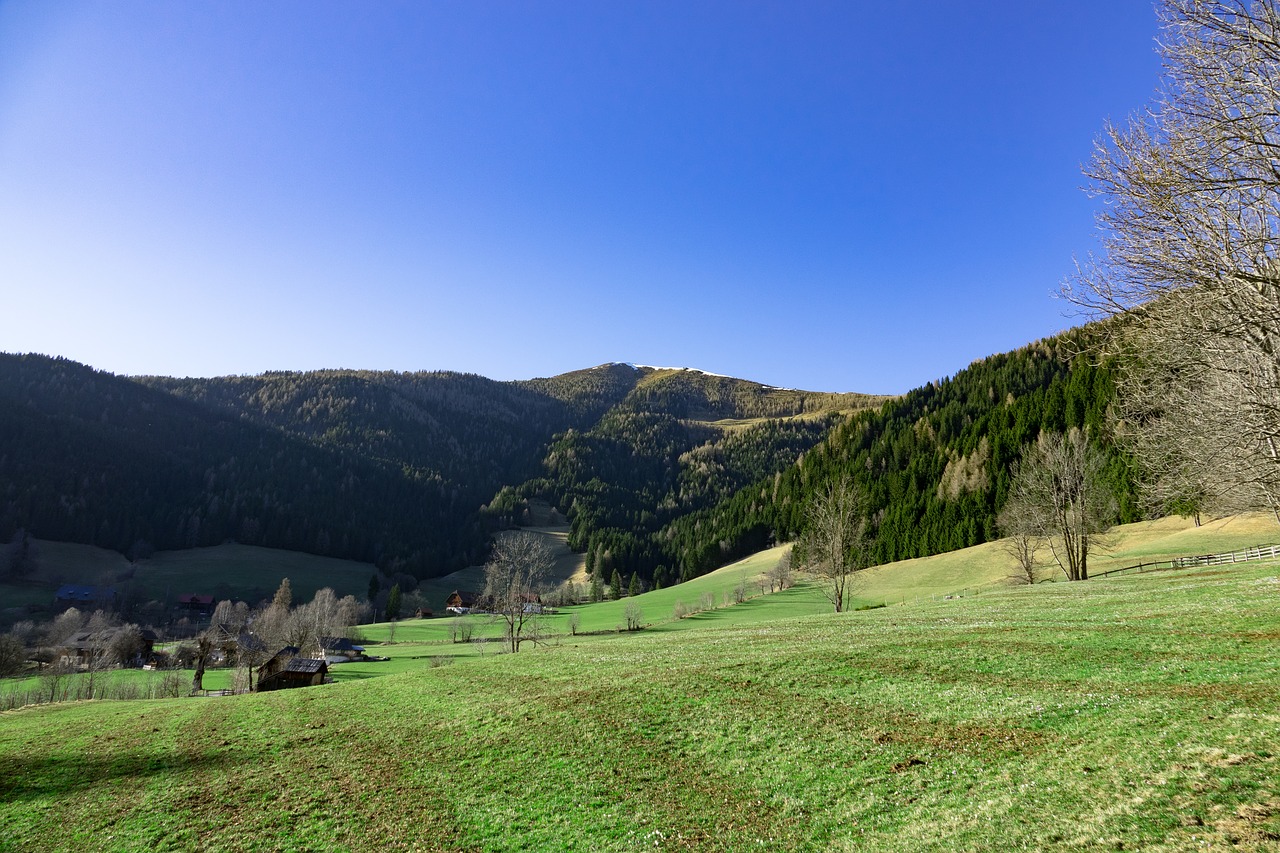 Kraštovaizdis, Kalnas, Mėlynas Dangus, Pieva, Miškas, Gamta, Alpių, Dangus, Medis, Karintija